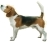 Icon-beagle08sw.jpg