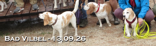 Banner - sp2609.jpg